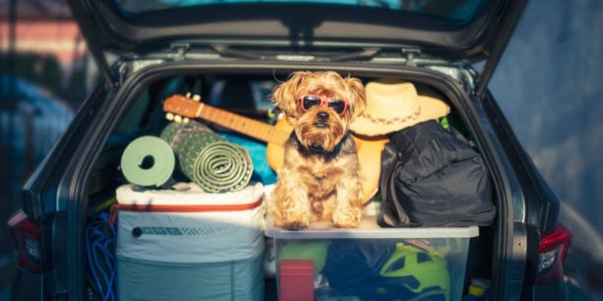 Safe Pet Travel: Everything You Need to Know About Flight Nanny Services