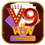 V9win Diy