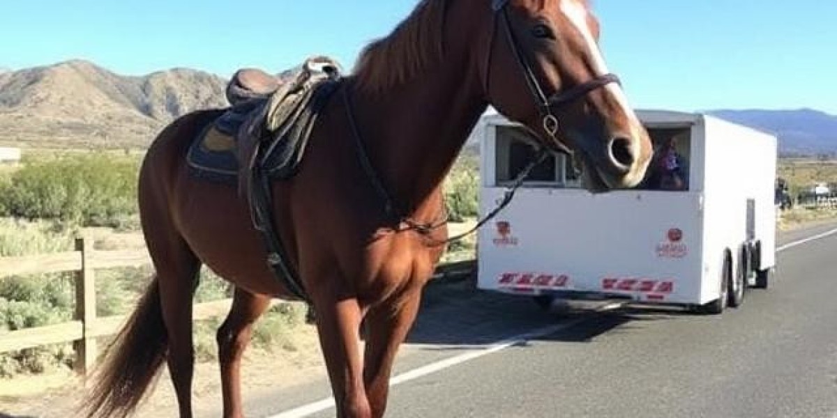 Expert Guide to Horse Transporting in California: Ensuring Safe and Stress-Free Journeys