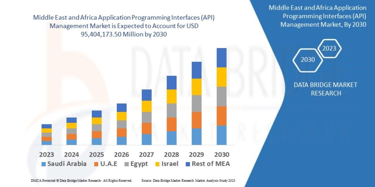 Middle East and Africa Application Programming Interfaces (API) Management Market Ingredients, Share, Growth, Demand, Fo