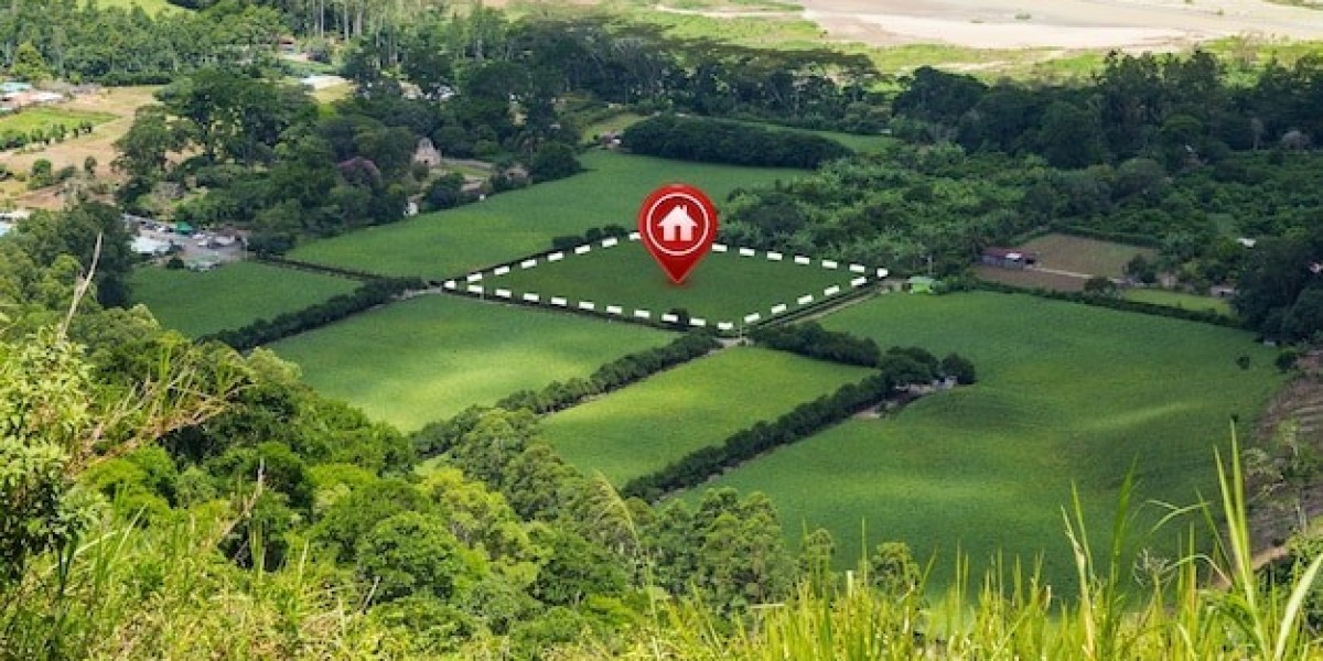 Licensed Land Surveyor