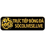 SOCO LIVE