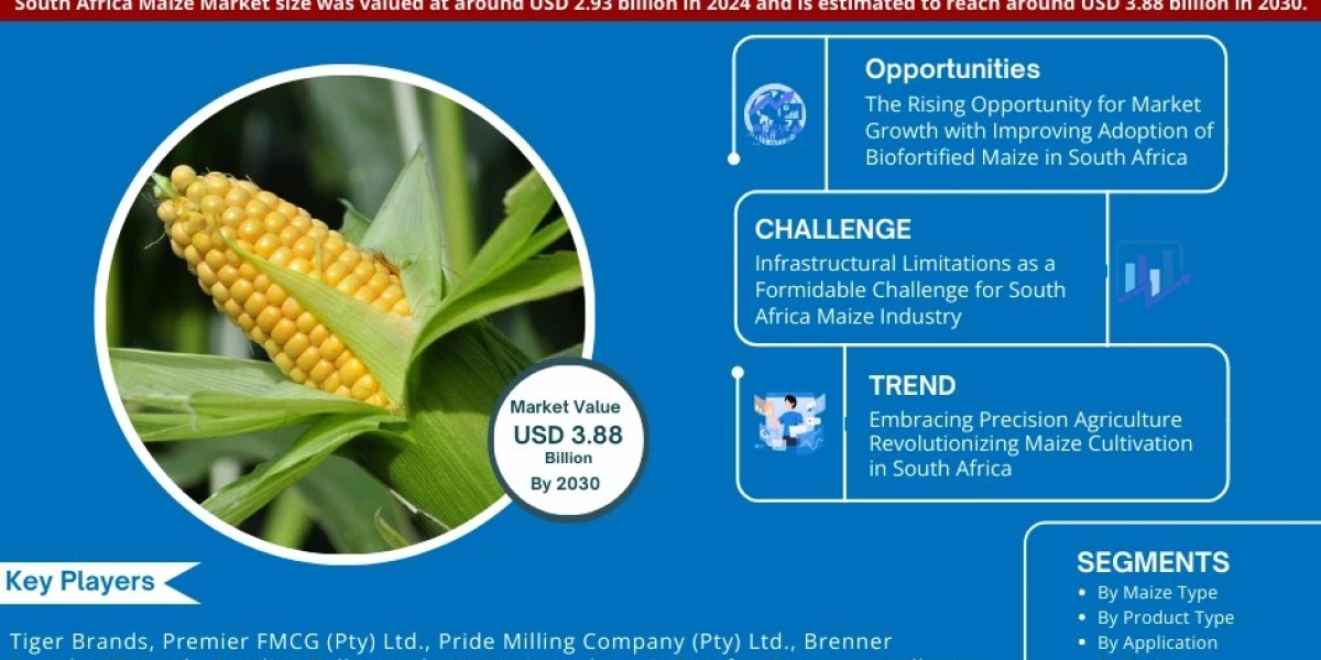 South Africa Maize Market Poised for Strong 4.79% CAGR Through 2030 | Size & Opportunity Insights