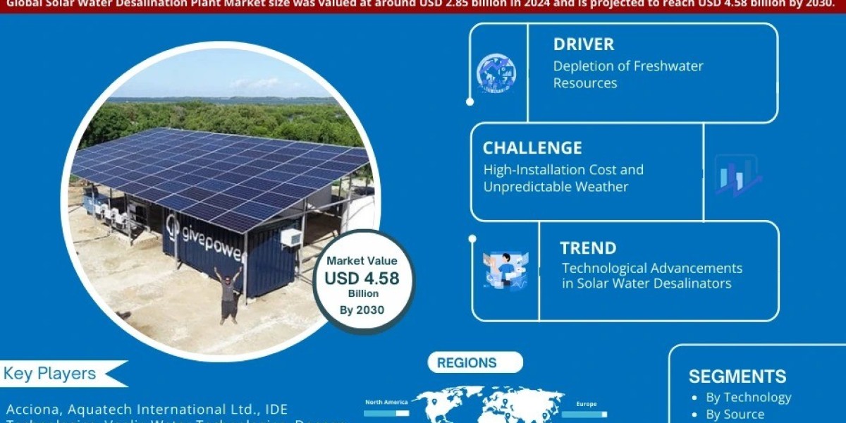 Solar Water Desalination Plant Market Outlook: Trends, Value, and Company Profiles - 2030